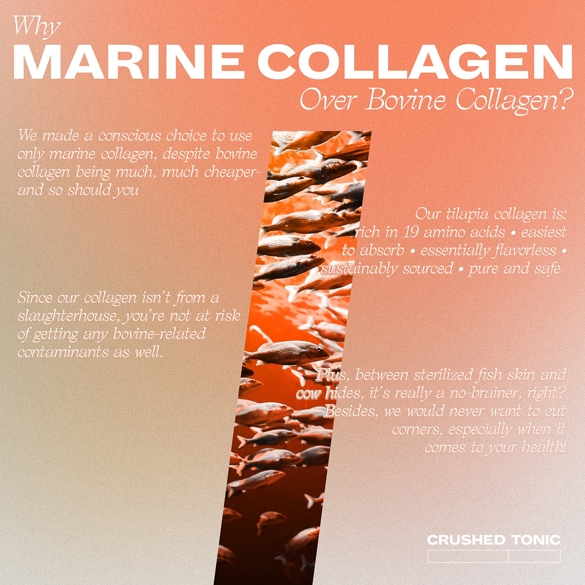 Marine Collagen Coffee Crushes, Sachets by Crushed Tonic | 30 Drinks